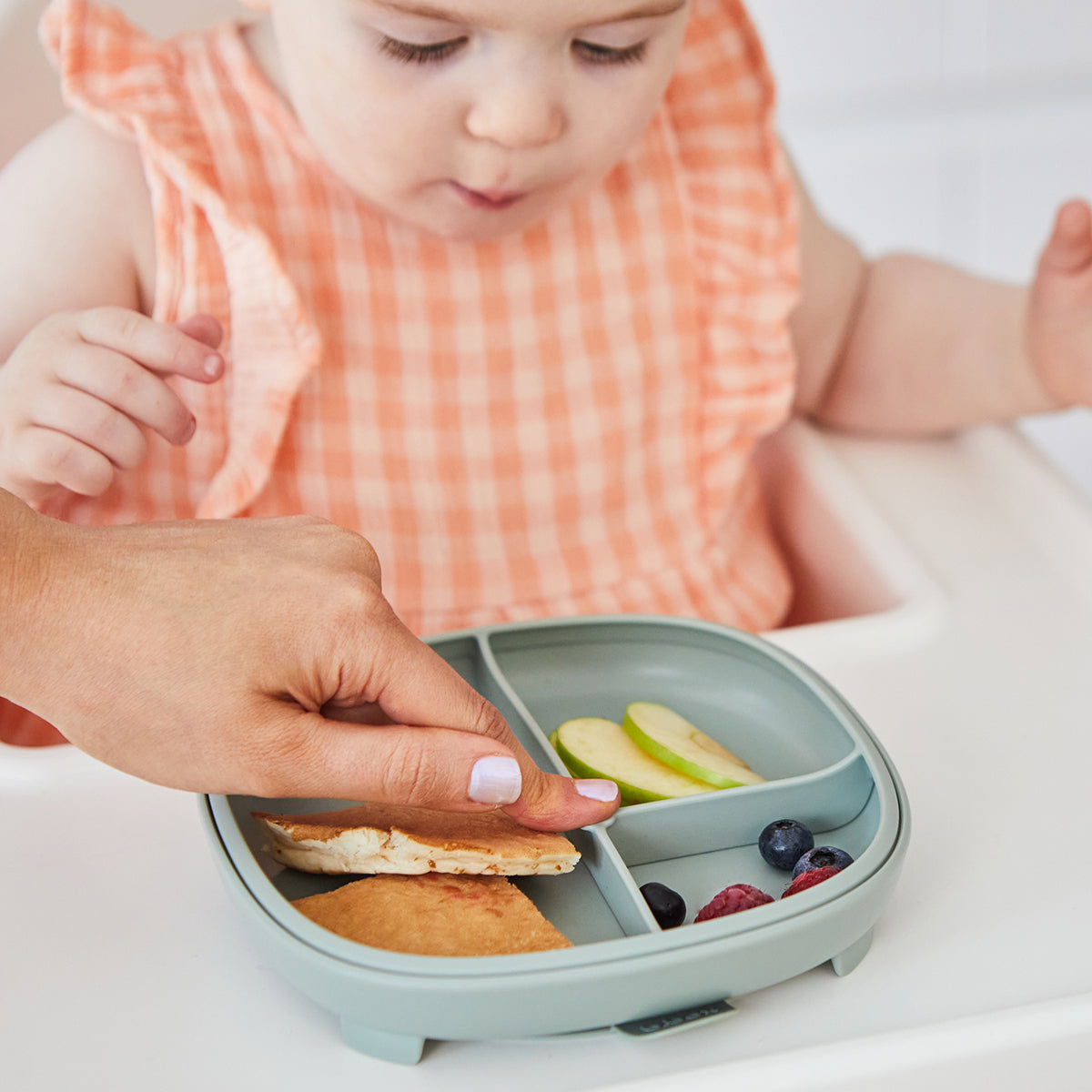 2 in 1 suction plate