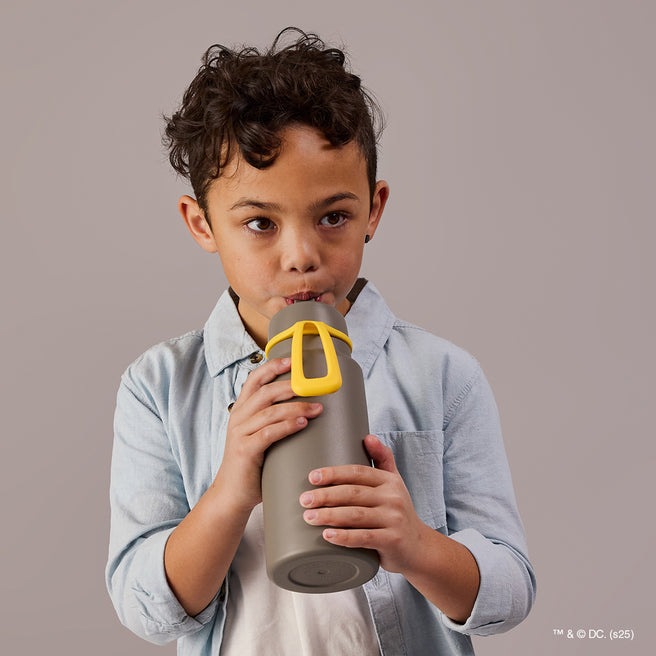 Batman Insulated  Flip Top