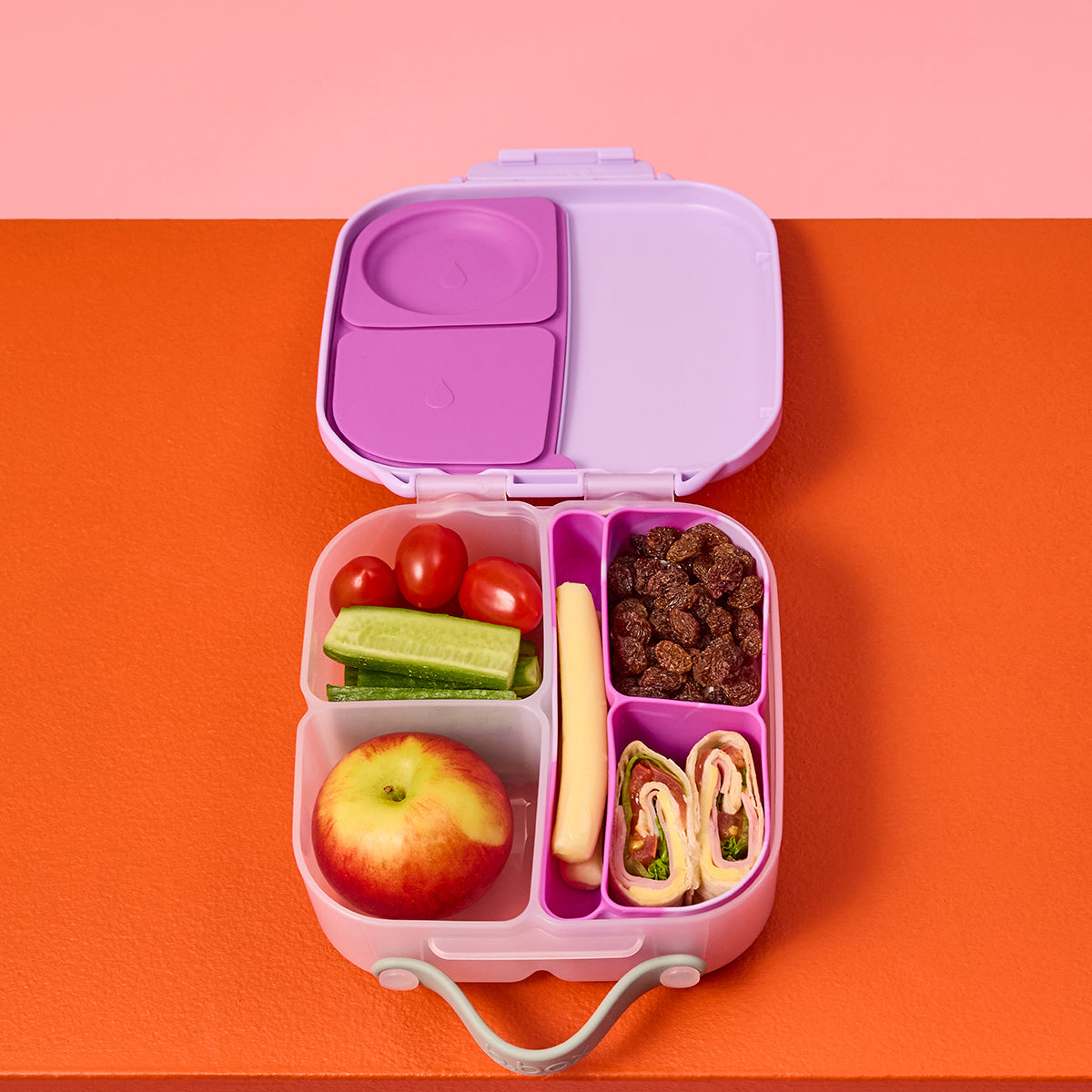 organizador silicona para fiambrera mediana | mini lunchbox - cosmic