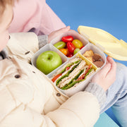 mini lunchbox - lemon twist