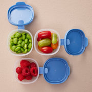 depósitos Snack Tubs – ocean