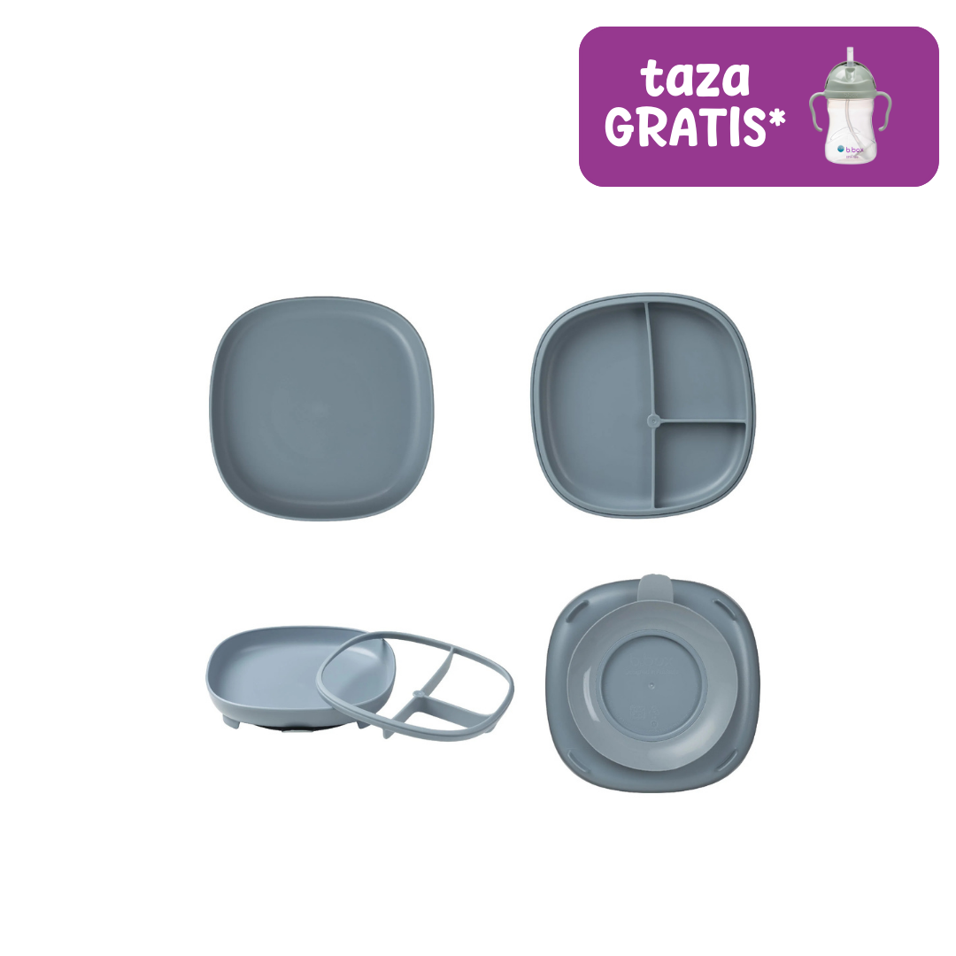 plato 2 en 1 con ventosa y compartimentos extraíbles – ocean