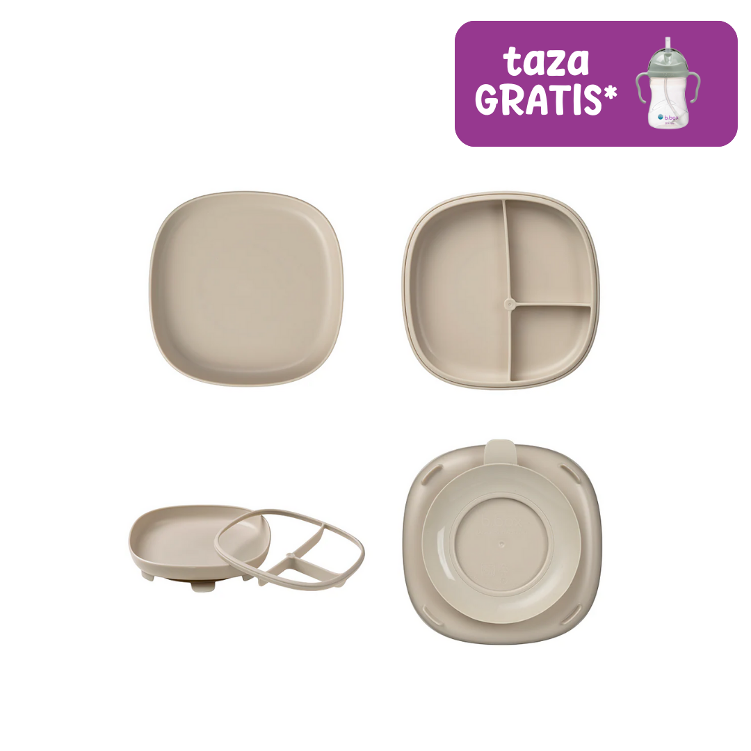 plato 2 en 1 con ventosa y compartimentos extraíbles – latte