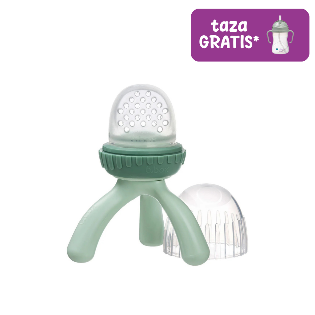 Silicone Fresh Food Feeder - sage
