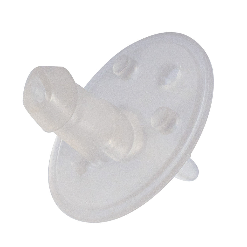 recambios para botella térmica con boquilla y asa (2 ud.)