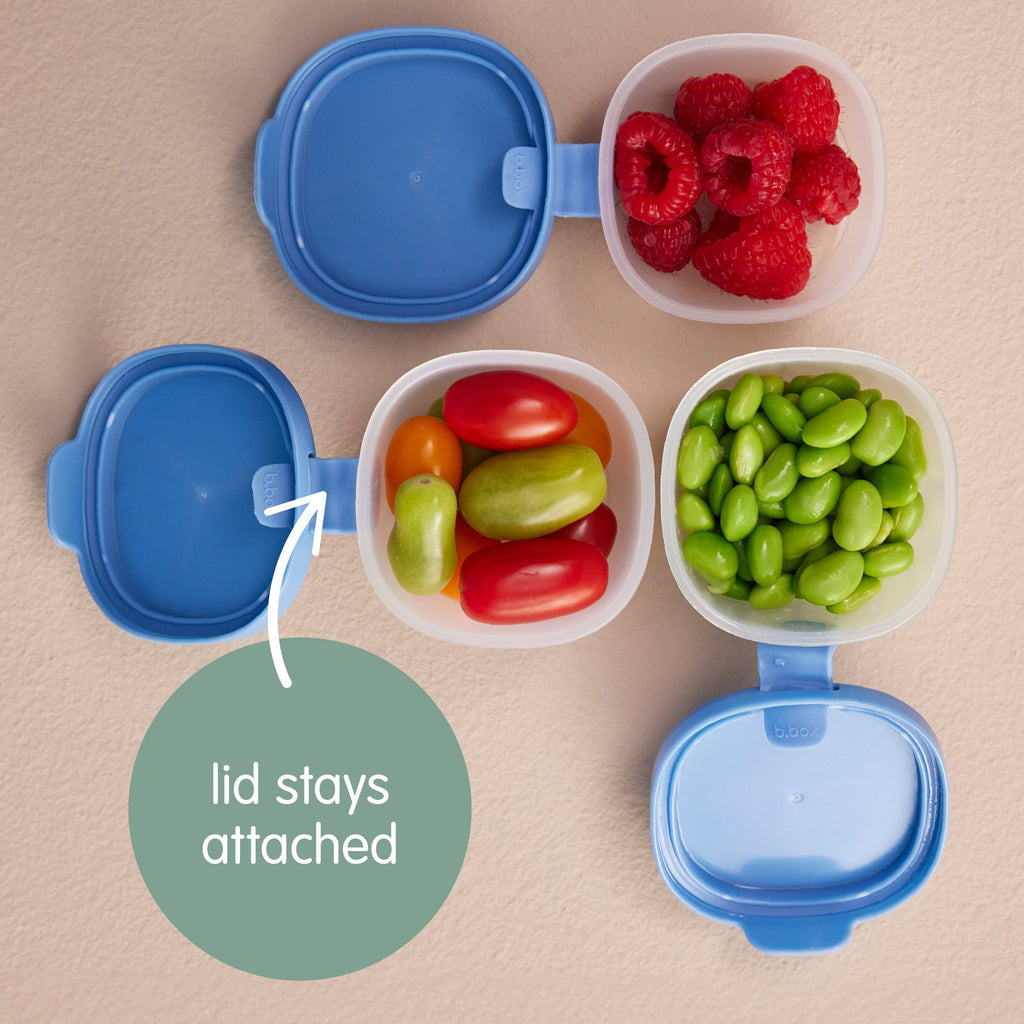 depósitos Snack Tubs – berry