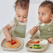 plato 2 en 1 con ventosa y compartimentos extraíbles - blush