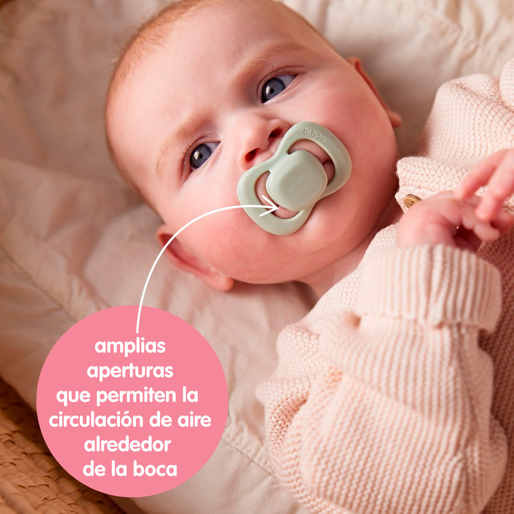 Pack de chupetes - berry/blush (2 ud.)