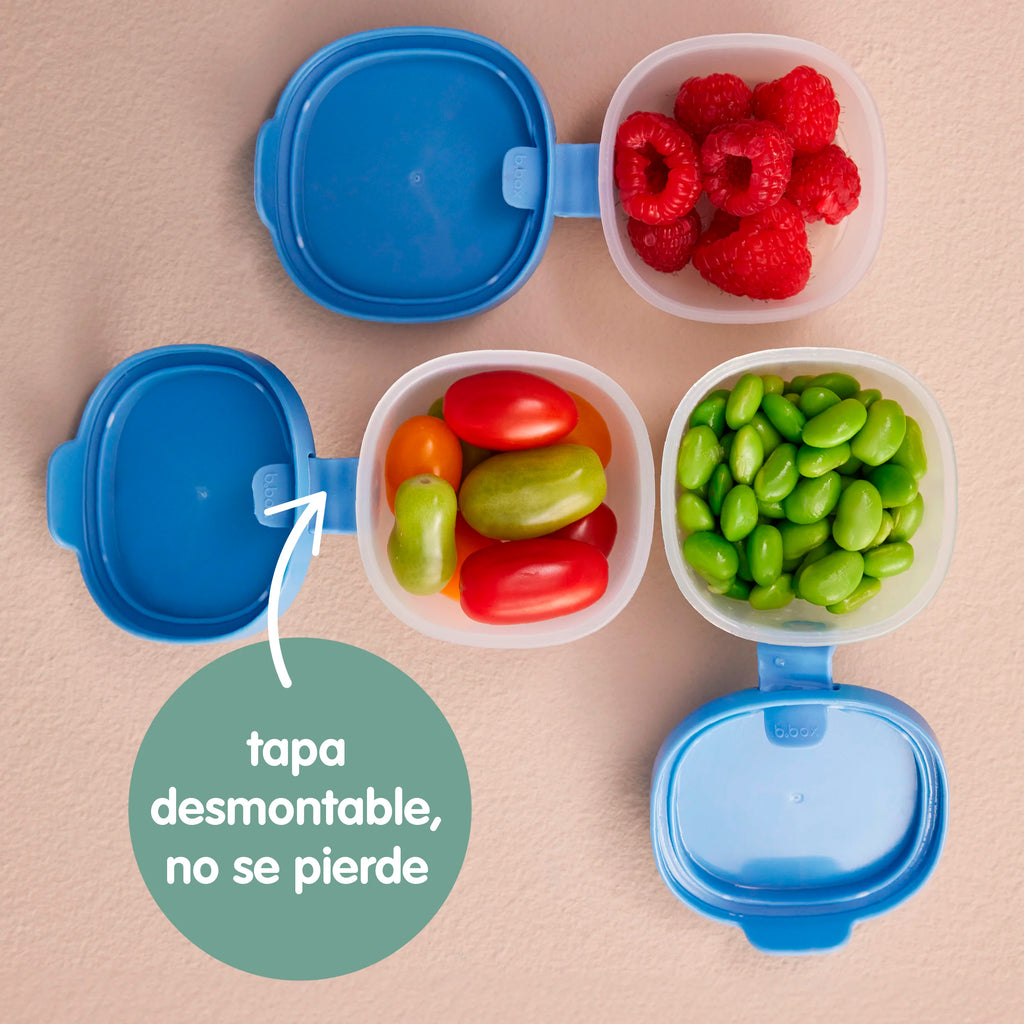 depósitos Snack Tubs – ocean